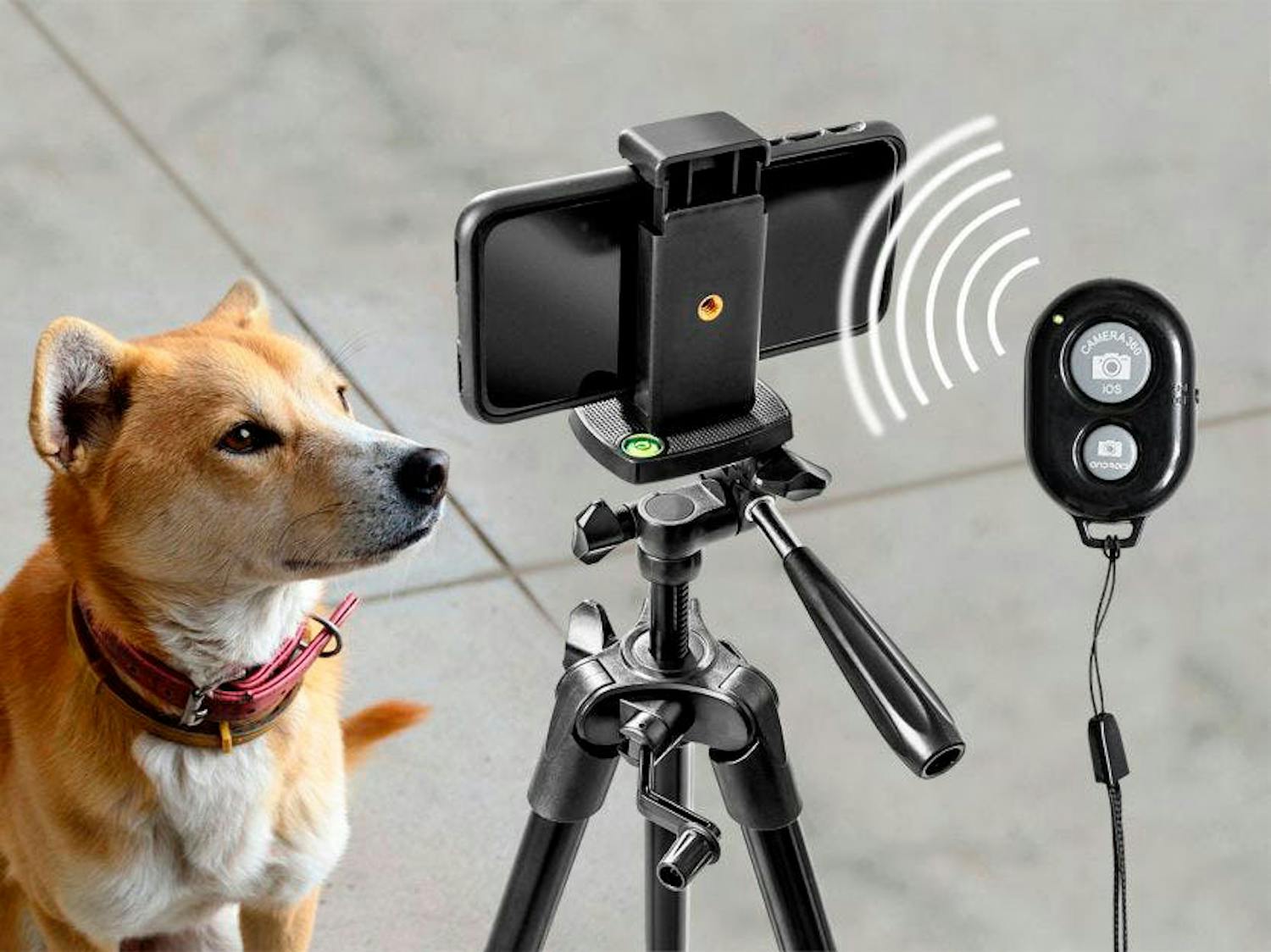 Mobiltelefon på stativ. Fjernkontrollen aktiverer utløseren i telefonkameraet via Bluetooth.